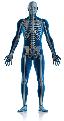 Sports Medicine | Joint Replacement | Fracture Care | West Hills CA | Westlake Village CA